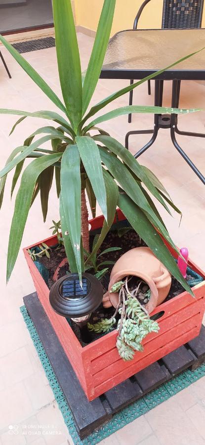 Apartamento A Casa *